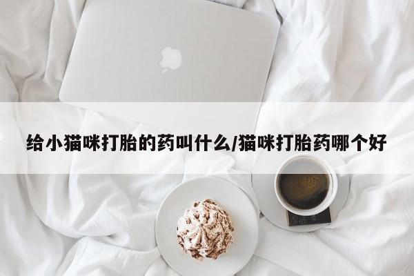 打胎药怎么买给小猫咪打胎的药叫什么/猫咪打胎药哪个好