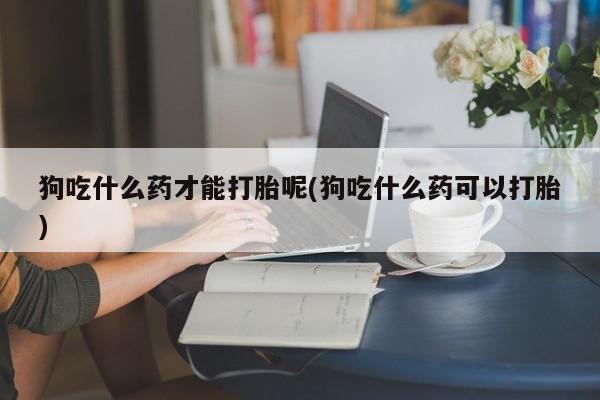 打胎药怎么买狗吃什么药才能打胎呢(狗吃什么药可以打胎)