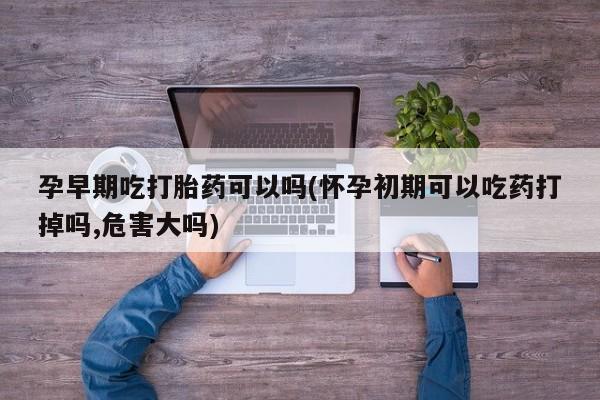 打胎药怎么买孕早期吃打胎药可以吗(怀孕初期可以吃药打掉吗,危害大吗)